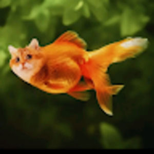 Meet your Posher, Janette